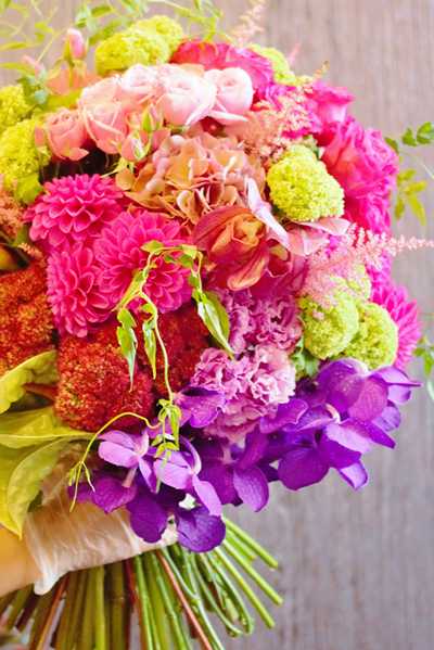 『Brotar』(ブロタール)とは