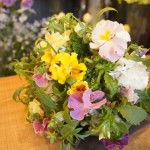Bouquet　奥様への感謝の花束